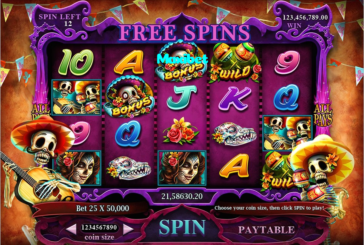 Maxibet casino presented on mobile device in Pakistan with slots and live games
